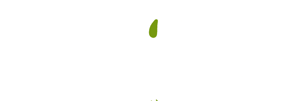 Aillwee Burren Experience logo